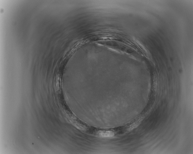 X0000085250169200703231659