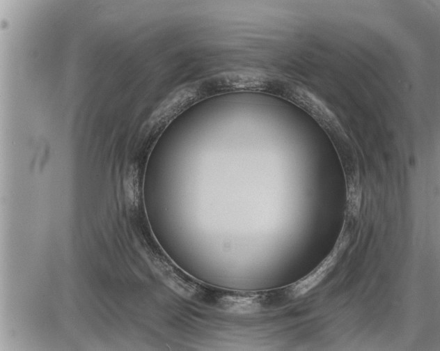 X0000085250170200703231659