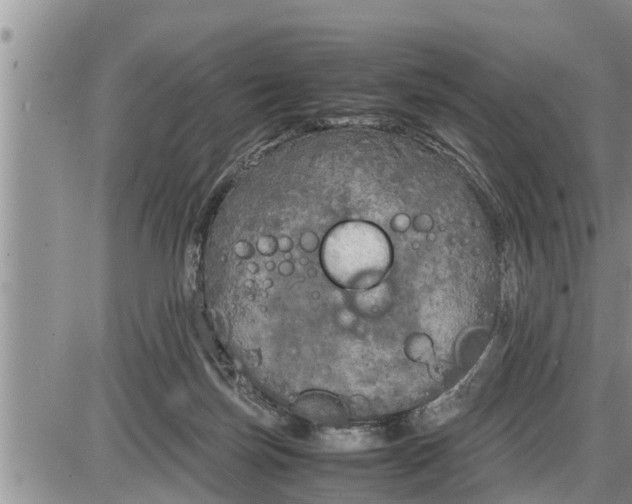 X0000085250171200703231659