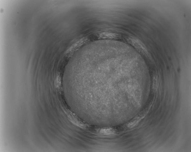 X0000085250173200703231659