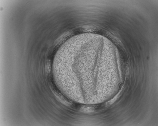 X0000085250174200703231659