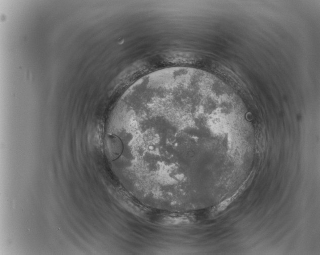 X0000085250175200703231659