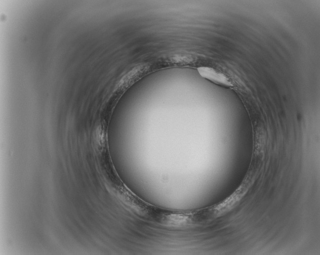 X0000085250176200703231659