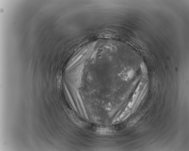 X0000085250177200703231659