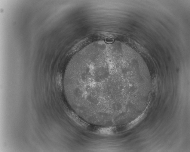 X0000085250178200703231659