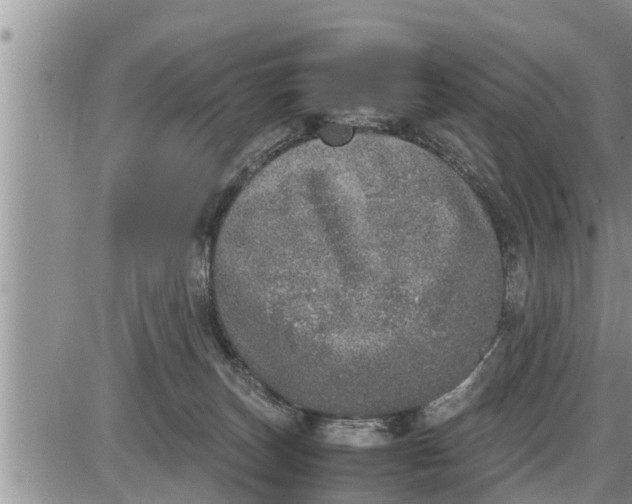 X0000085250179200703231659