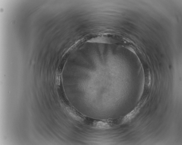 X0000085250180200703231659