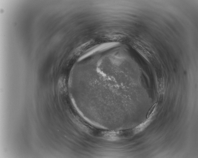 X0000085250182200703231659