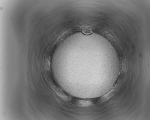 X0000085250183200703231659