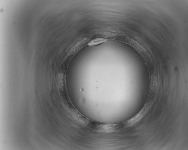 X0000085250184200703231659