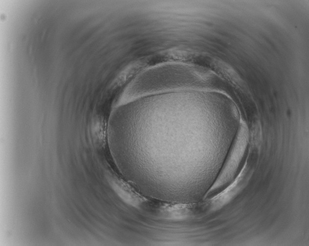 X0000085250186200703231659