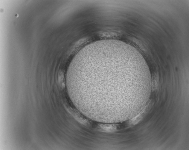 X0000085250187200703231659