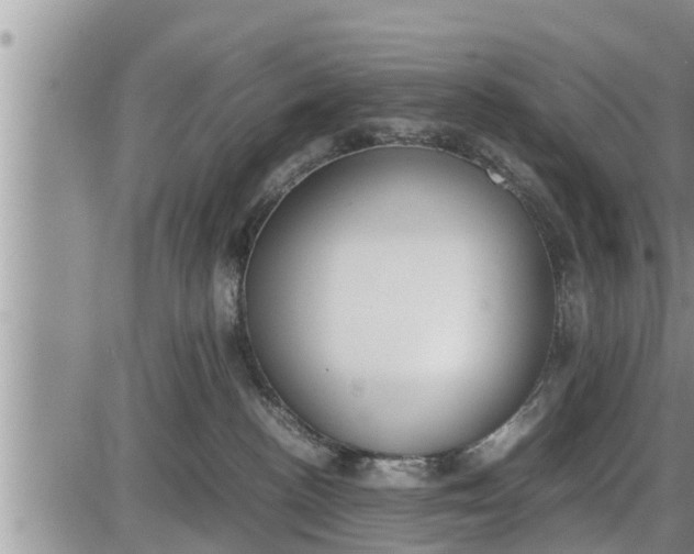 X0000085250188200703231659