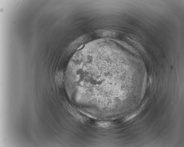 X0000085250189200703231659