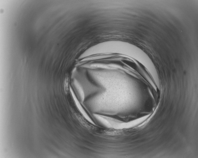 X0000085250190200703231659