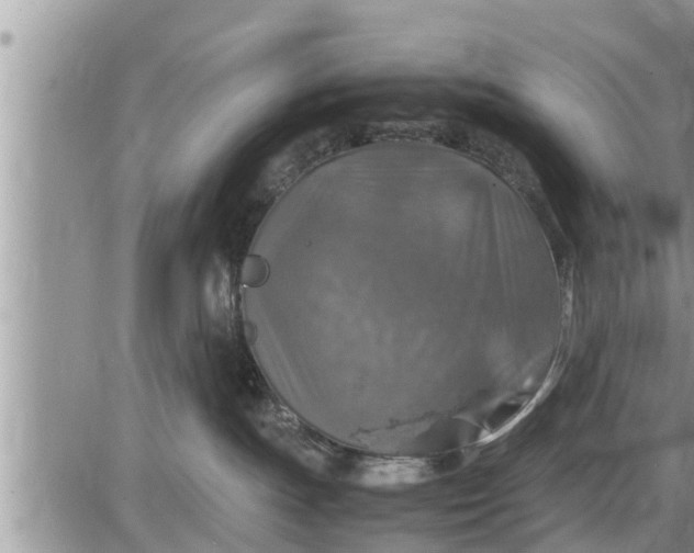 X0000085250191200703231659