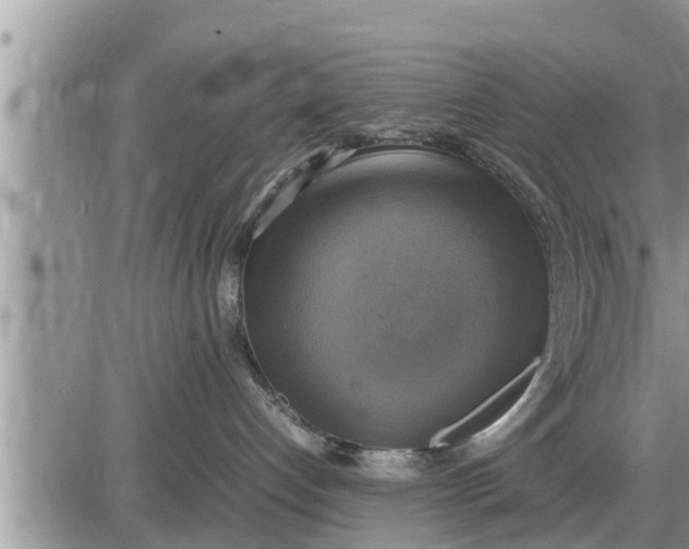 X0000085250192200703231659