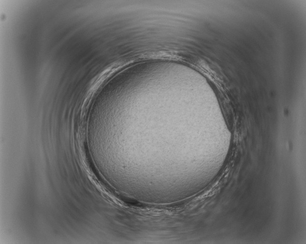 X0000085250193200703231658