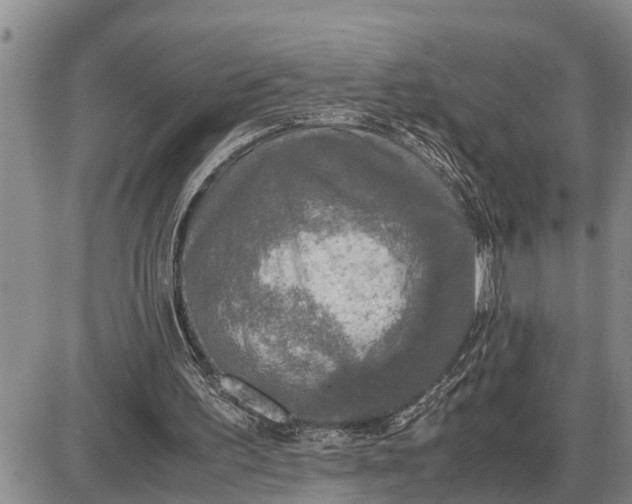 X0000085250195200703231658