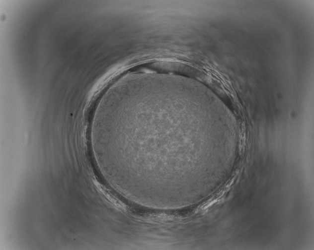 X0000085250197200703231658