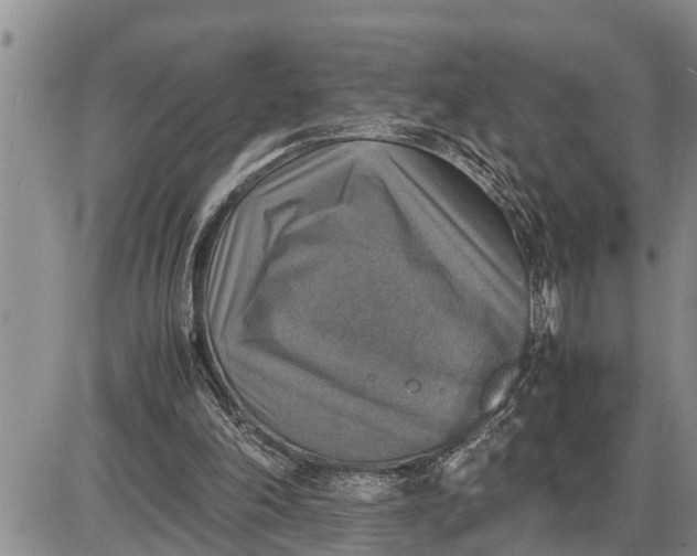 X0000085250198200703231658