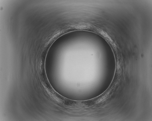 X0000085250201200703231658