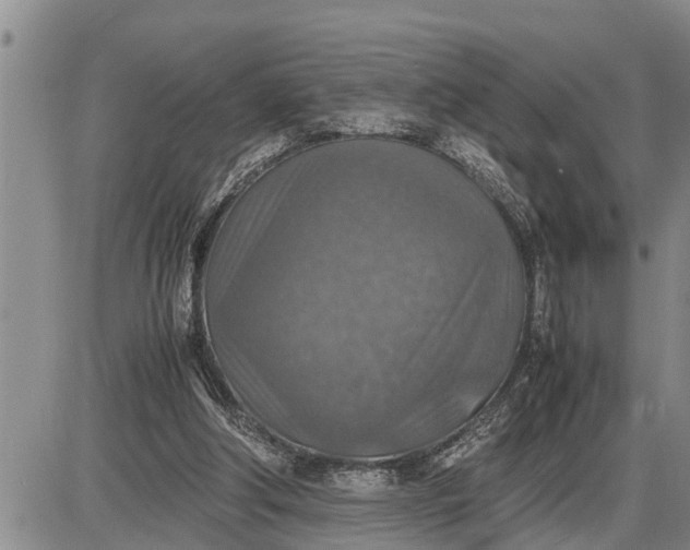 X0000085250202200703231658