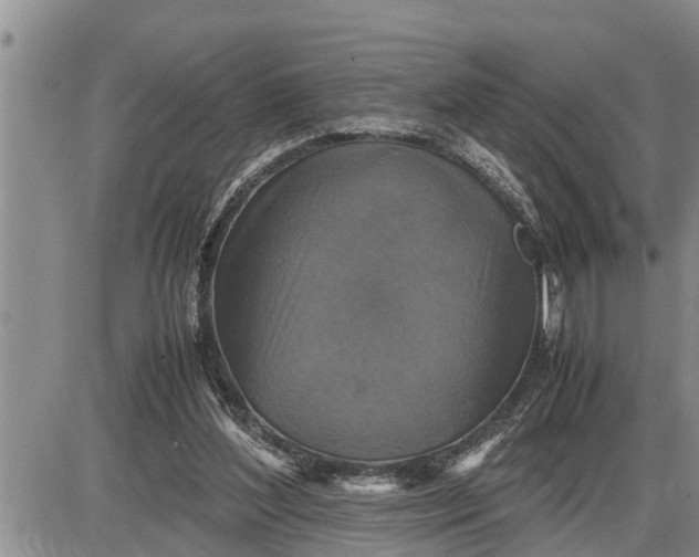 X0000085250204200703231658