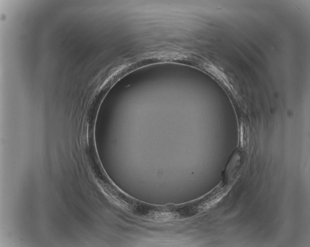 X0000085250205200703231658