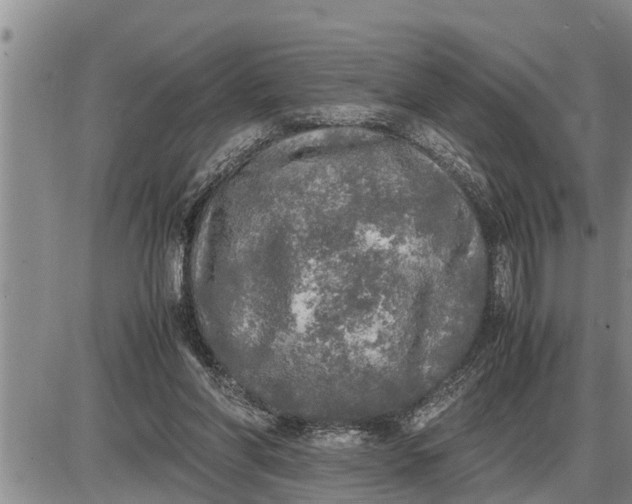 X0000085250206200703231658