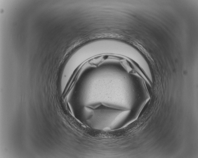 X0000085250207200703231658