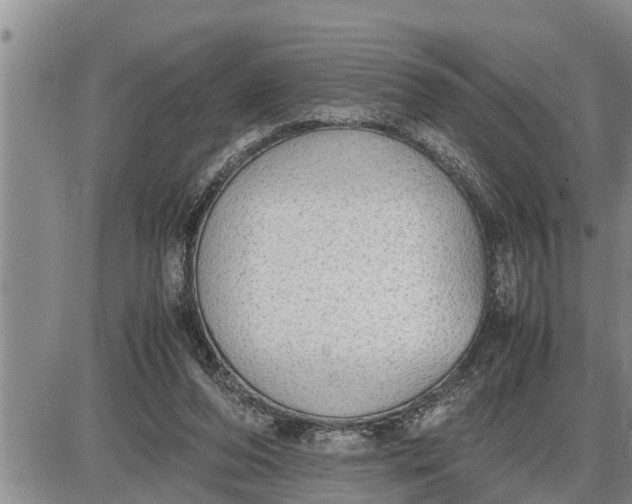 X0000085250208200703231658