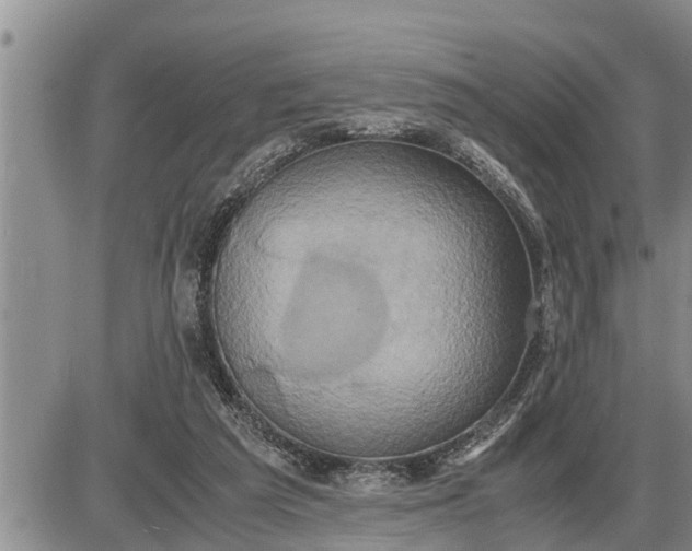 X0000085250209200703231658