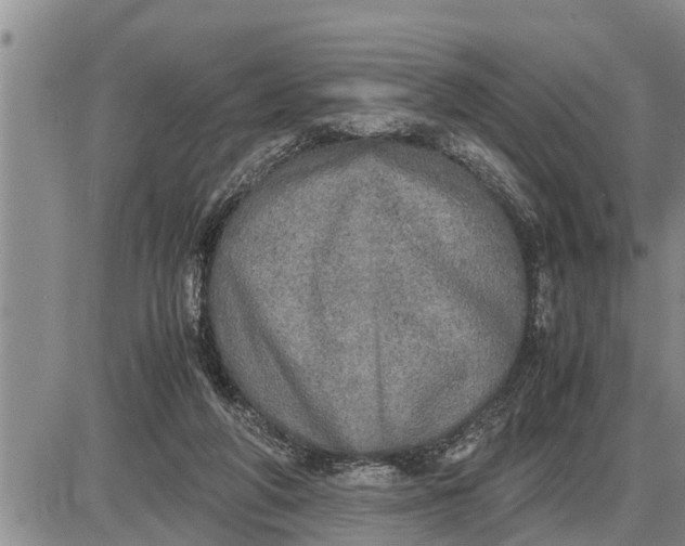 X0000085250210200703231658