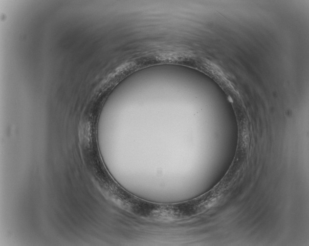 X0000085250211200703231658