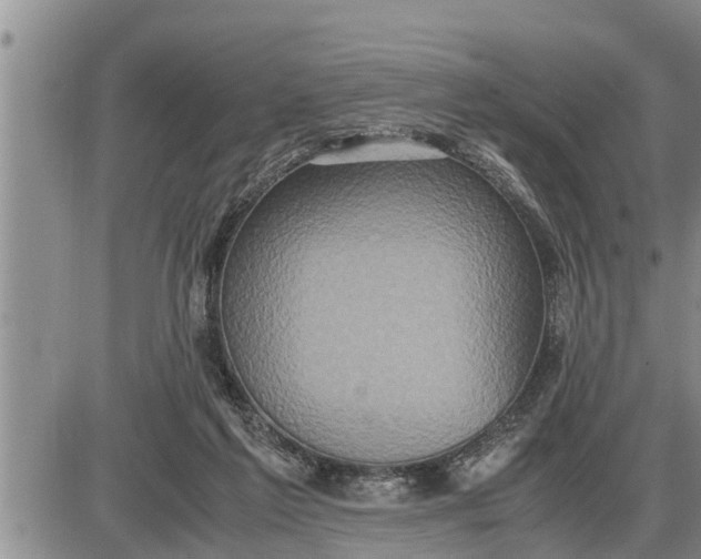 X0000085250213200703231658