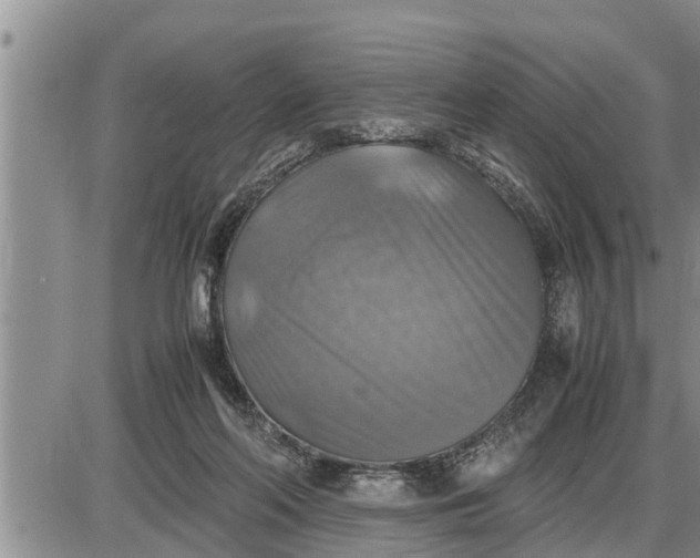 X0000085250214200703231658