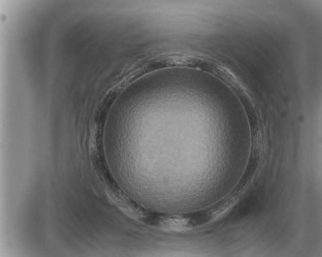 X0000085250217200703231658