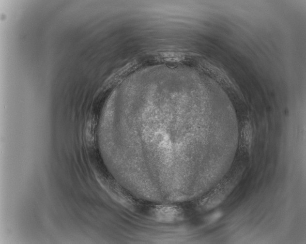 X0000085250218200703231658