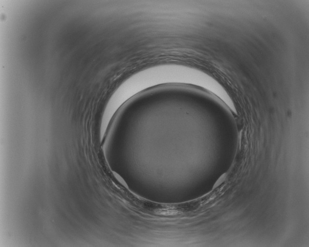 X0000085250219200703231658