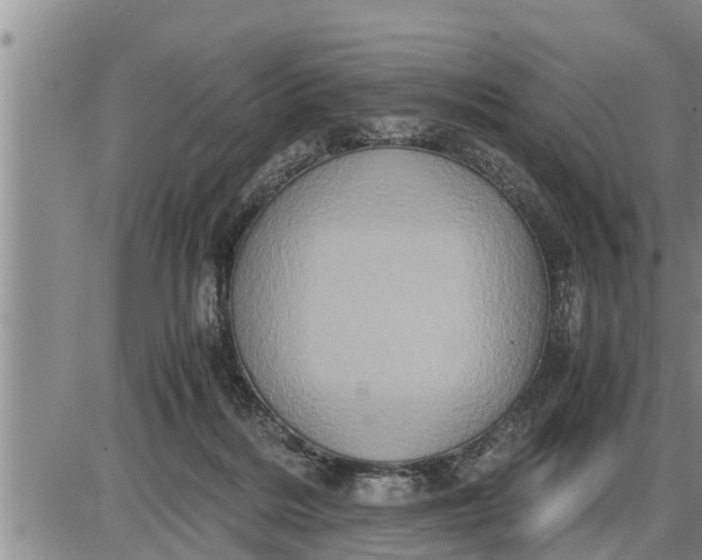 X0000085250220200703231658