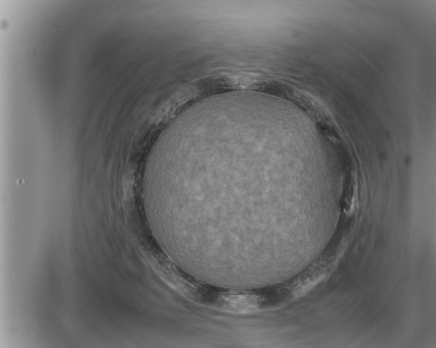 X0000085250221200703231658