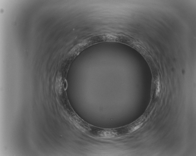 X0000085250223200703231658