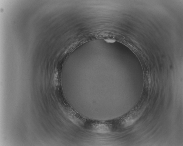 X0000085250224200703231658