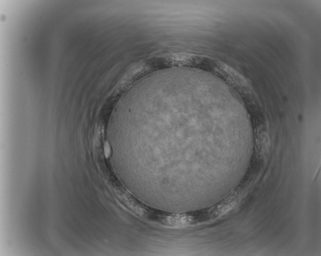 X0000085250225200703231658