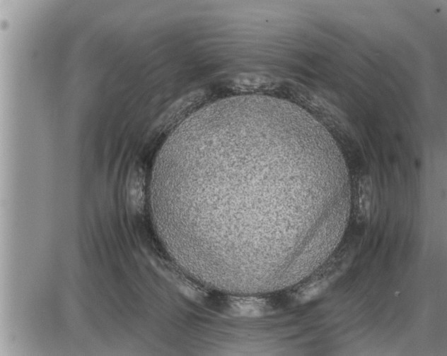 X0000085250226200703231658