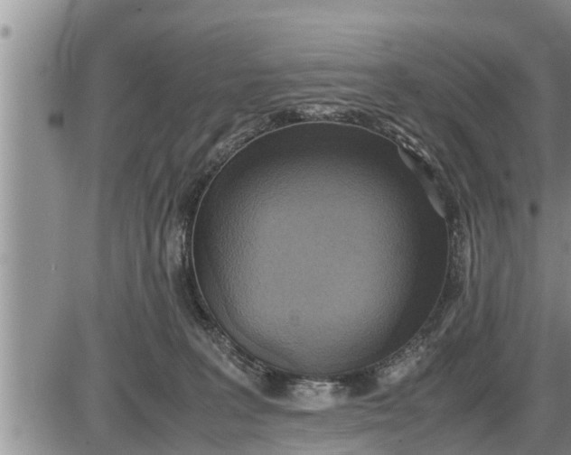 X0000085250227200703231658