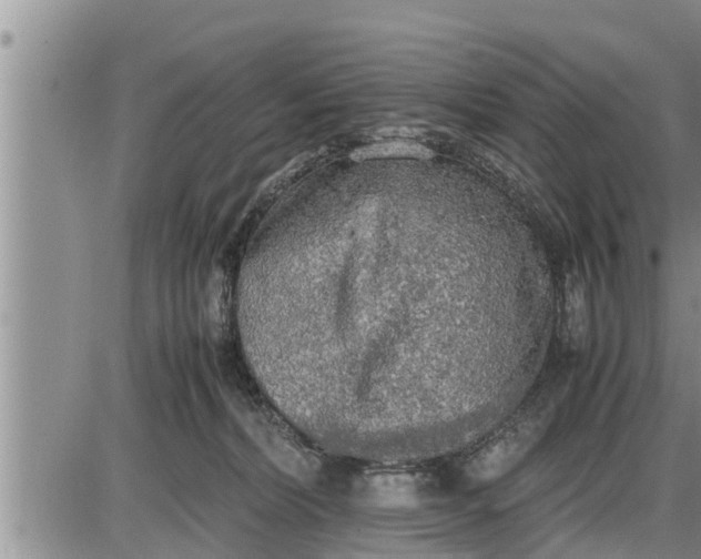 X0000085250228200703231658