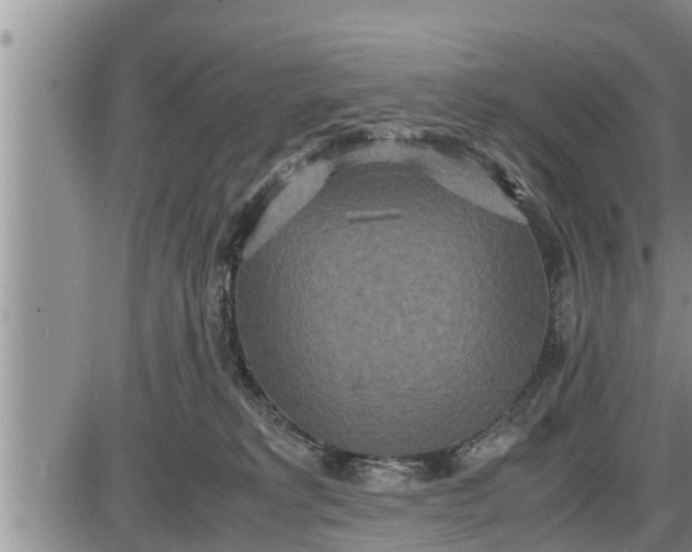 X0000085250229200703231658