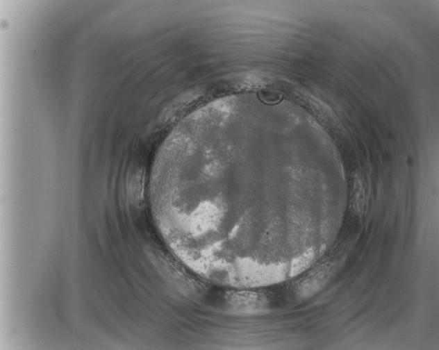 X0000085250230200703231658